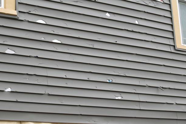 Best Storm Damage Siding Repair  in Whitesboro, AL