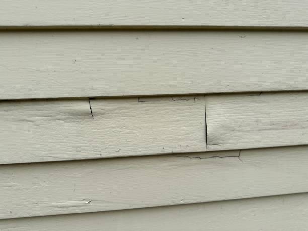 Best Siding for New Construction  in Whitesboro, AL